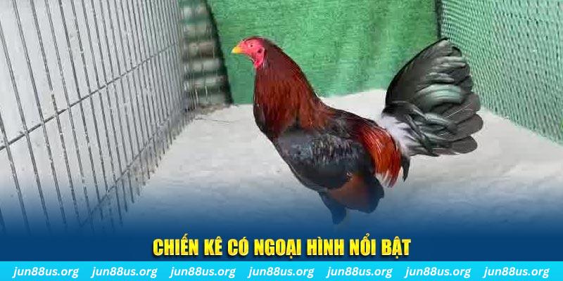 68gb game nổ hũ là gì