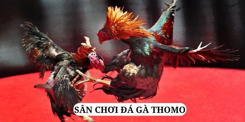 68gb trực tiếp xổ số miền bắc